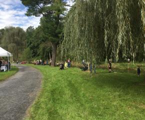 Fishing along Lehigh Parkway Path