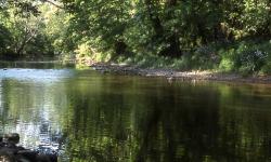 Jordan Creek Greenway