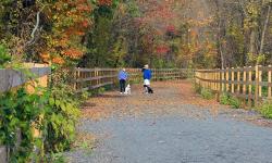 The Saucon Rail Trail 10K