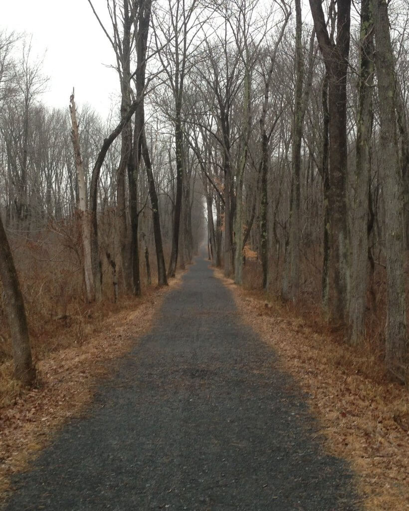 Bushkill Township Trail